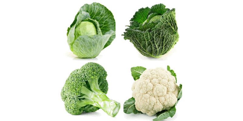 Los químicos de verduras como el brócoli protegen frente cáncer de colon